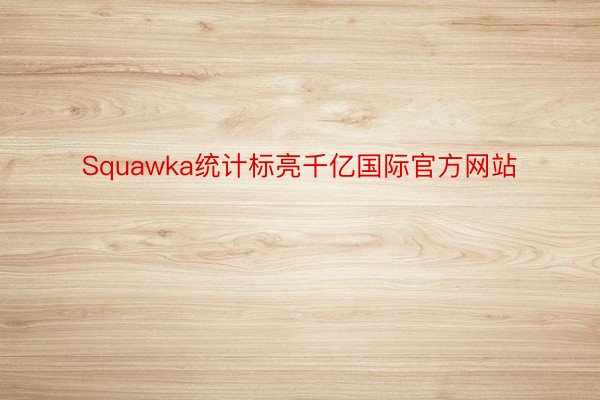 Squawka统计标亮千亿国际官方网站
